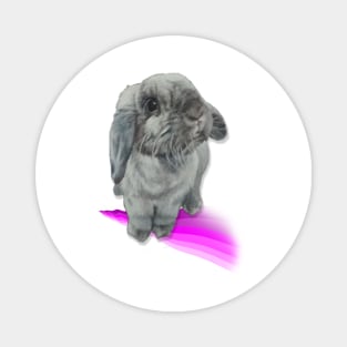Gorgeous seal point mini lop bunny on a pastel rainbow! Magnet